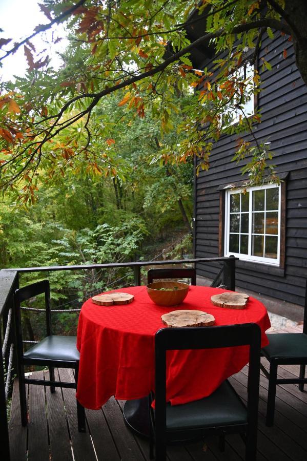 The Hidden Cottage! A Diy Cabin In The Countryside Chalet *